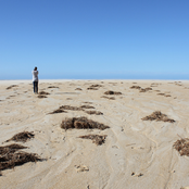 Listen, Love, The Thunder Calls