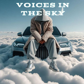 Voices In The Sky (feat. Winston Surfshirt, BALTHVS & Young Ellens)