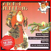 Stora Juledag