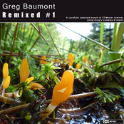 Greg Baumont Remixed #1