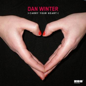 Carry Your Heart (tune Up! Radio Edit) by Dan Winter