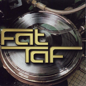 Fat taf