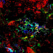 Utter Decomposition of the Mind II