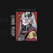 Art Of Self-Destruction