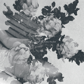 Searching For the Memories They Hold