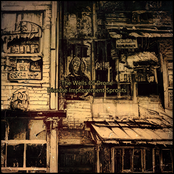 Disease Improvement Sprouts