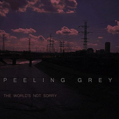 Soulless by Peeling Grey