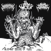 Blooming Seeds Of Guts