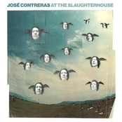 At the Slaughterhouse