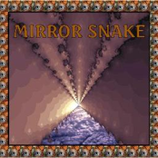 mirror snake