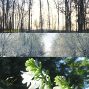 sounds like fall, smells like spring