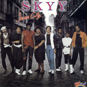 Passion In The Night by Skyy