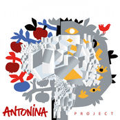 Antonina