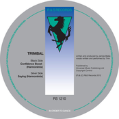 Saying (harmonimix) by Trimbal