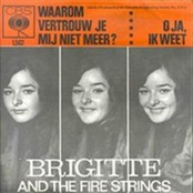 Brigitte And The Fire Strings