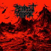 Into The Wasteland (2024)