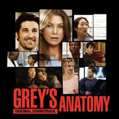 Grey's Anatomy