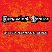 Instrumental B-Sides