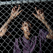 LikeButton Livingston