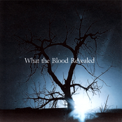 what the blood revealed