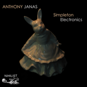 Simpleton Electronics