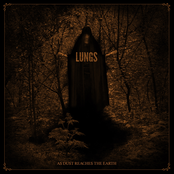 As Dust Reaches the Earth