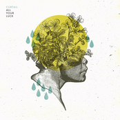 Curtail: All Your Luck