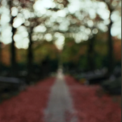 The Shape of Stillness