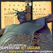 Digital Tears: E-mail From Purgatory