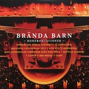 Konfrontationer