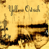 Tumbledown by Yellow Ostrich