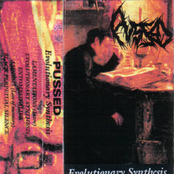 Evolutionary Synthesis