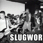 slugworth