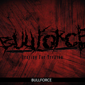 bull force