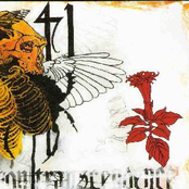 Volume, Obliteration, Transcendence