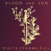 Feast by Blood And Sun