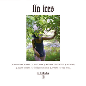 Medicine Wheel by Lia Ices