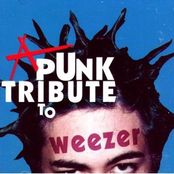 The Skulls: A Punk Tribute To Weezer