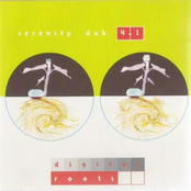 Serenity Dub 4.1 Digital Roots