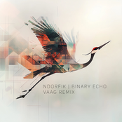 Binary Echo (VAAG Remix)