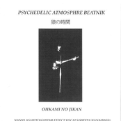 Psychedelic Atmosphre Beatnik