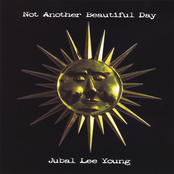Not Another Beautiful Day