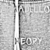 Armadillo Theory