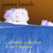 A Definitive Collection Of Lucid Dreams