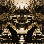 Droefheid - Gabe-Unruh Split