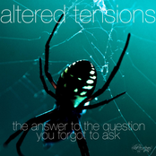 Matt Lange: Altered Tensions (The Answer to the Question You Forgot to Ask)
