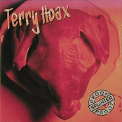 Life Gets Easy by Terry Hoax