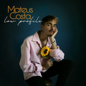 Low Profile - Single