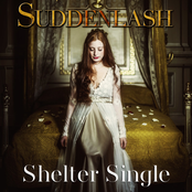Shelter