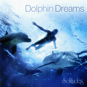 Dolphin Dreams